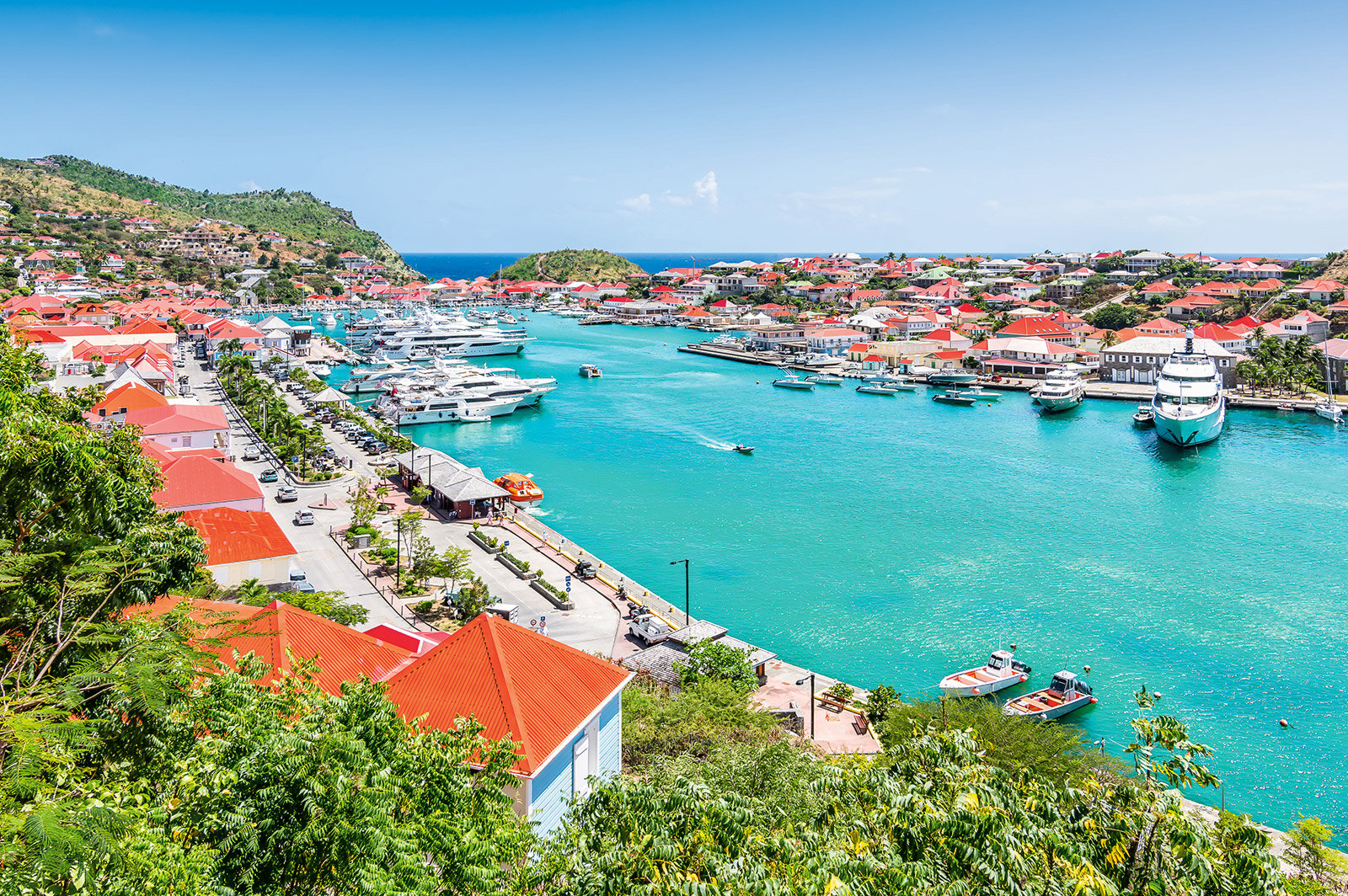 Tropical New Year's I