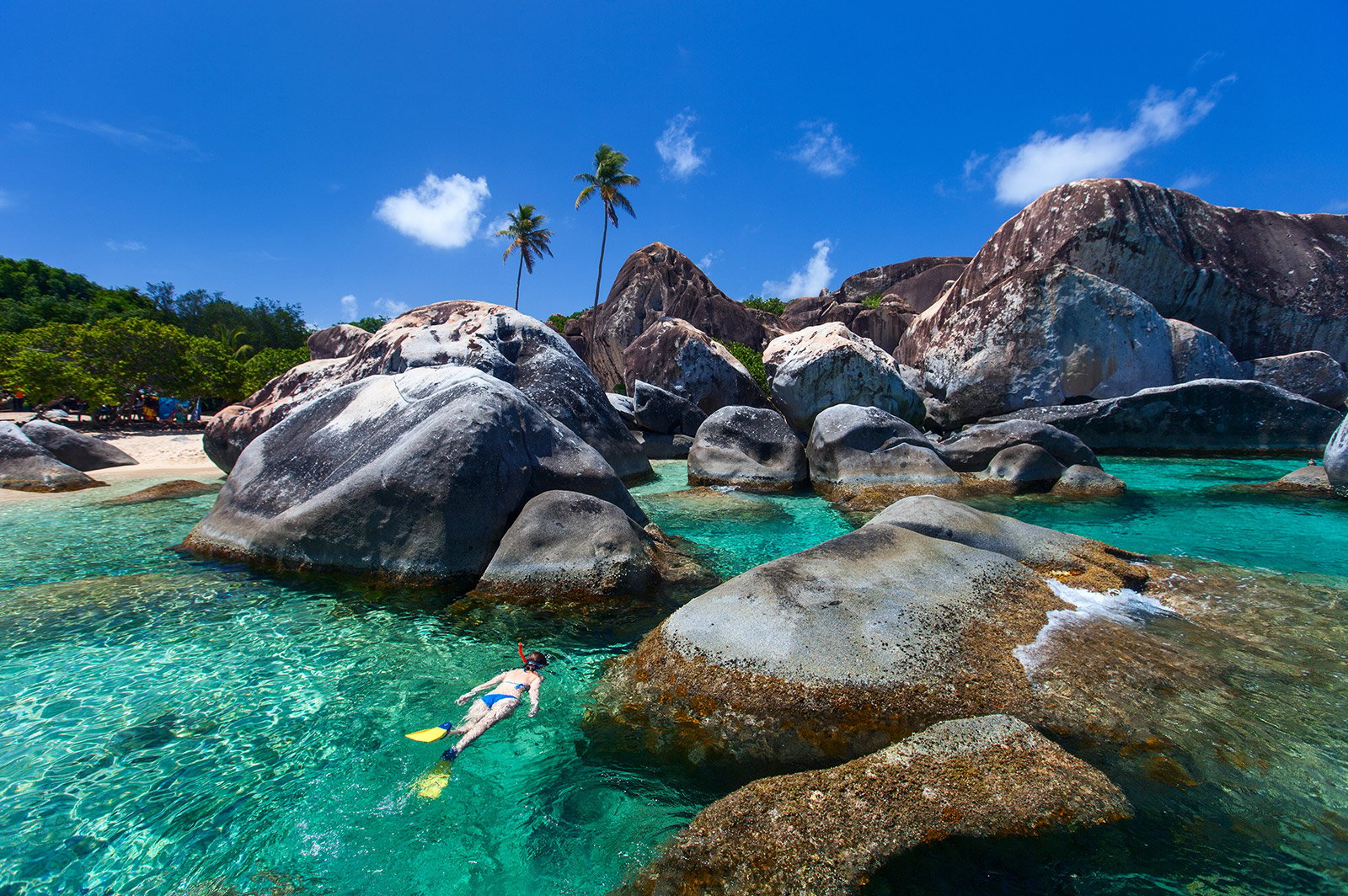 St. Barths & Caribbean Gems