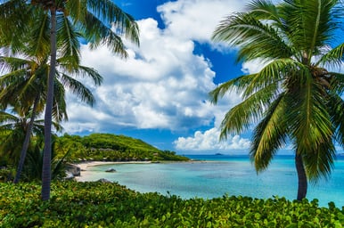 Caribbean Celebration I