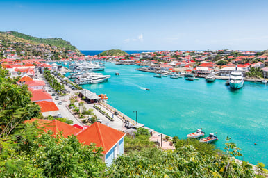 Tropical New Year's I