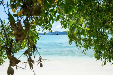 Leeward Islands Discovery