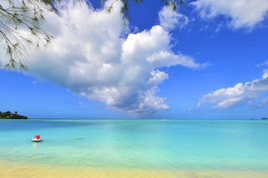The Glorious Grenadines