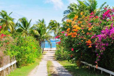 St. Barths & Caribbean Gems