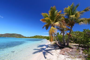 Caribbean Celebration II
