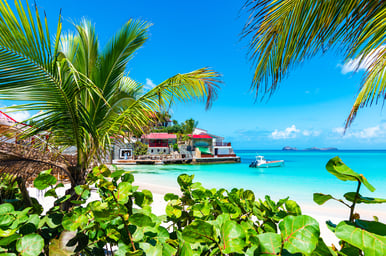 Tropical New Year's II