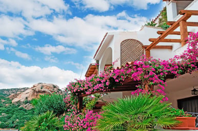 French Riviera & Corsica Dream