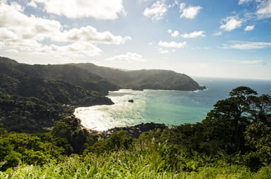 Leeward & Windward Islands Explorer