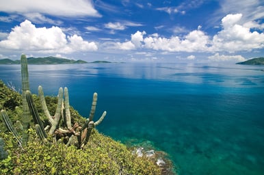 Best of the Leeward Islands
