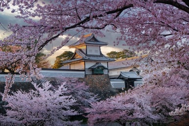 The Great Circle of Japan & Korea II