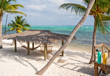 Cartagena Gold & the Turquoise Reef II