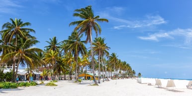 Cartagena Gold & the Turquoise Reef III