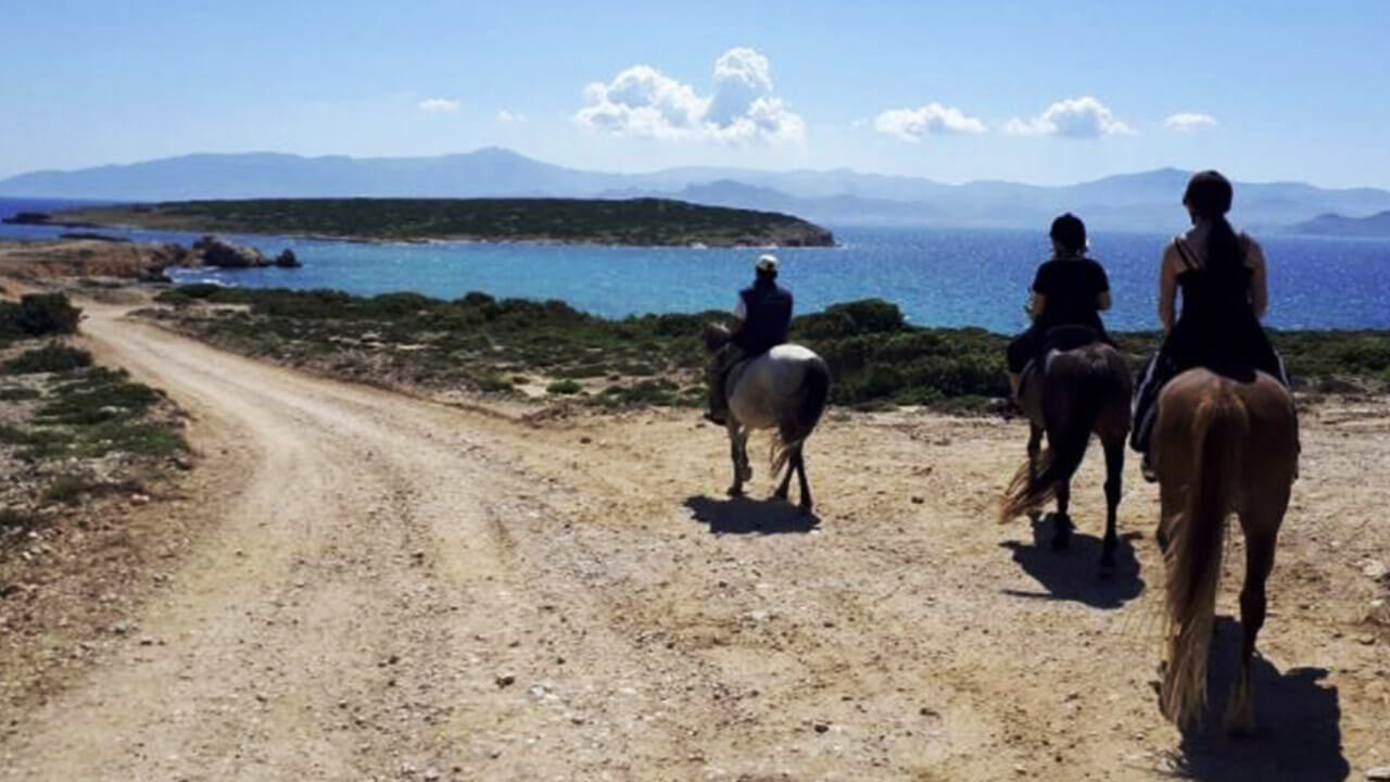 Horseback Riding in Paros - Paros, Greece
