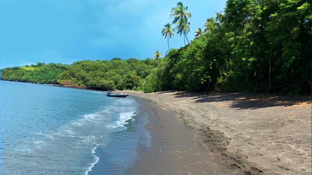 Mt. Wynne Beach the Grenadines