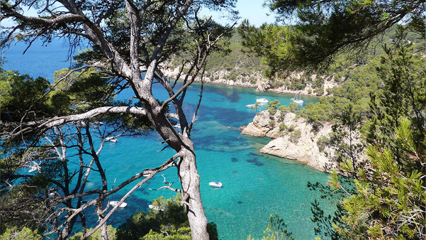 Saint-Cyr-sur-Mer