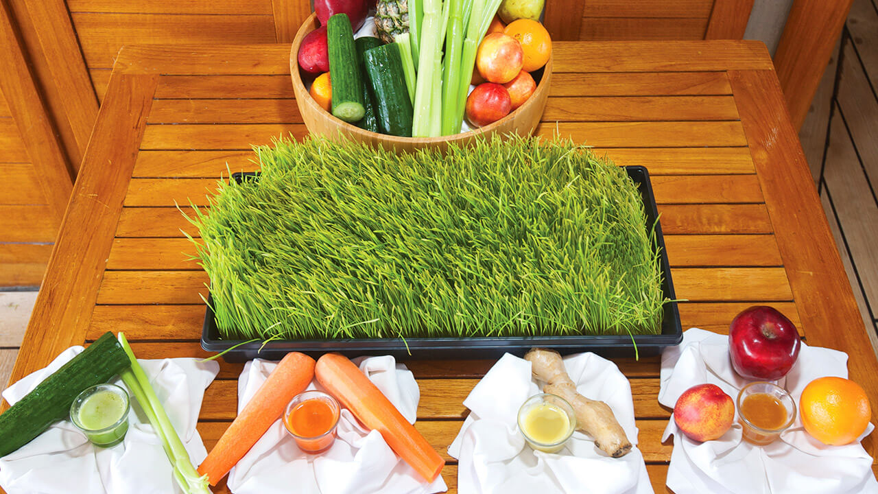 Juice Bar&nbsp;