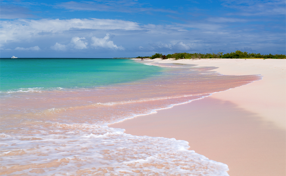 X Barbuda