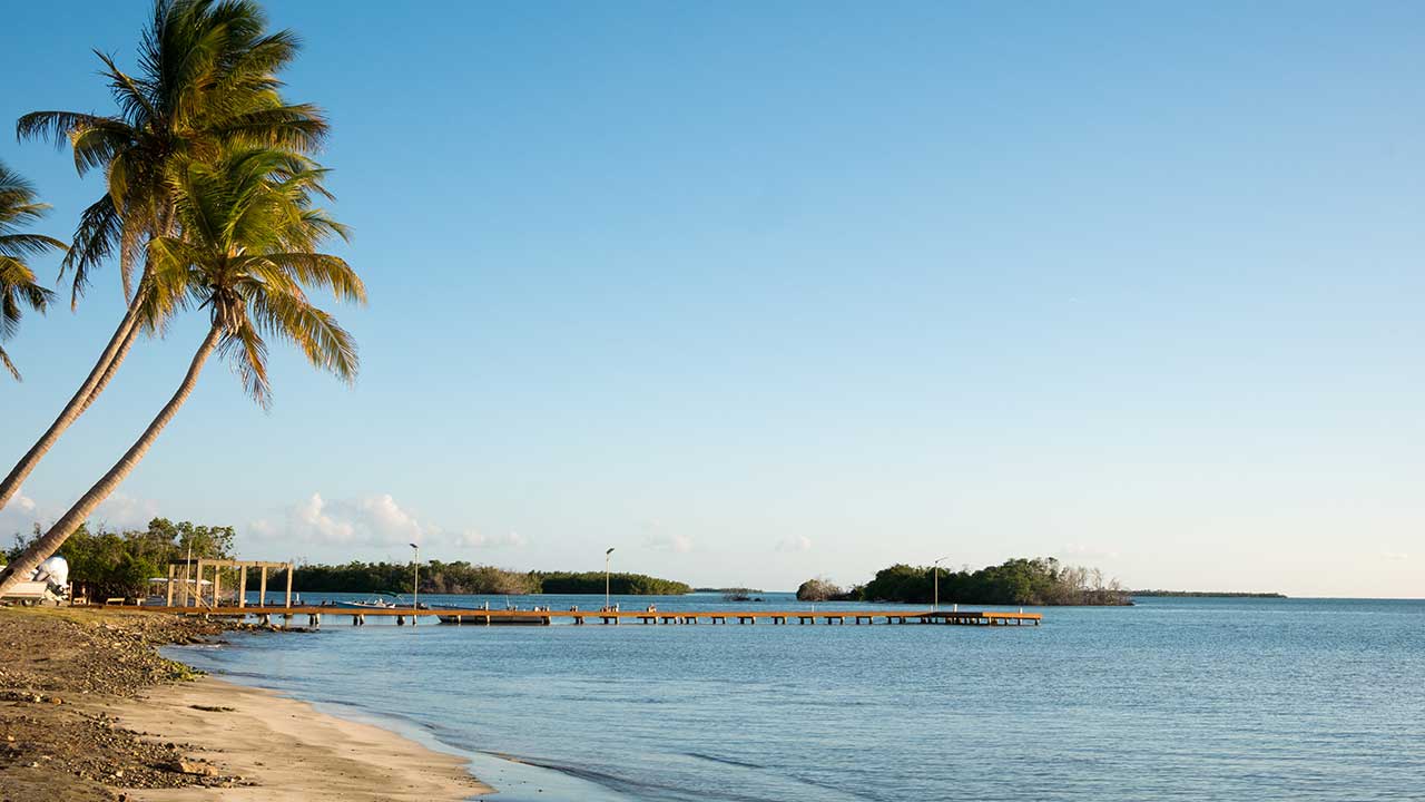 Salinas
