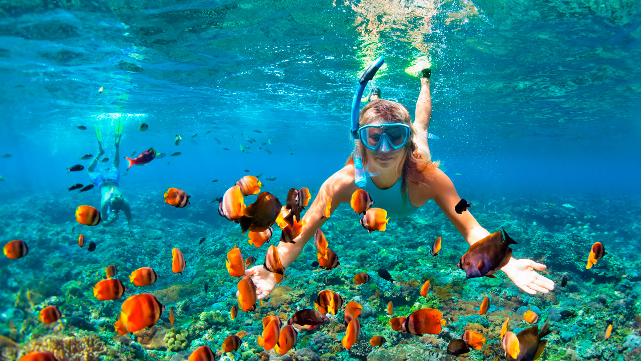 Spend the Day Snorkeling