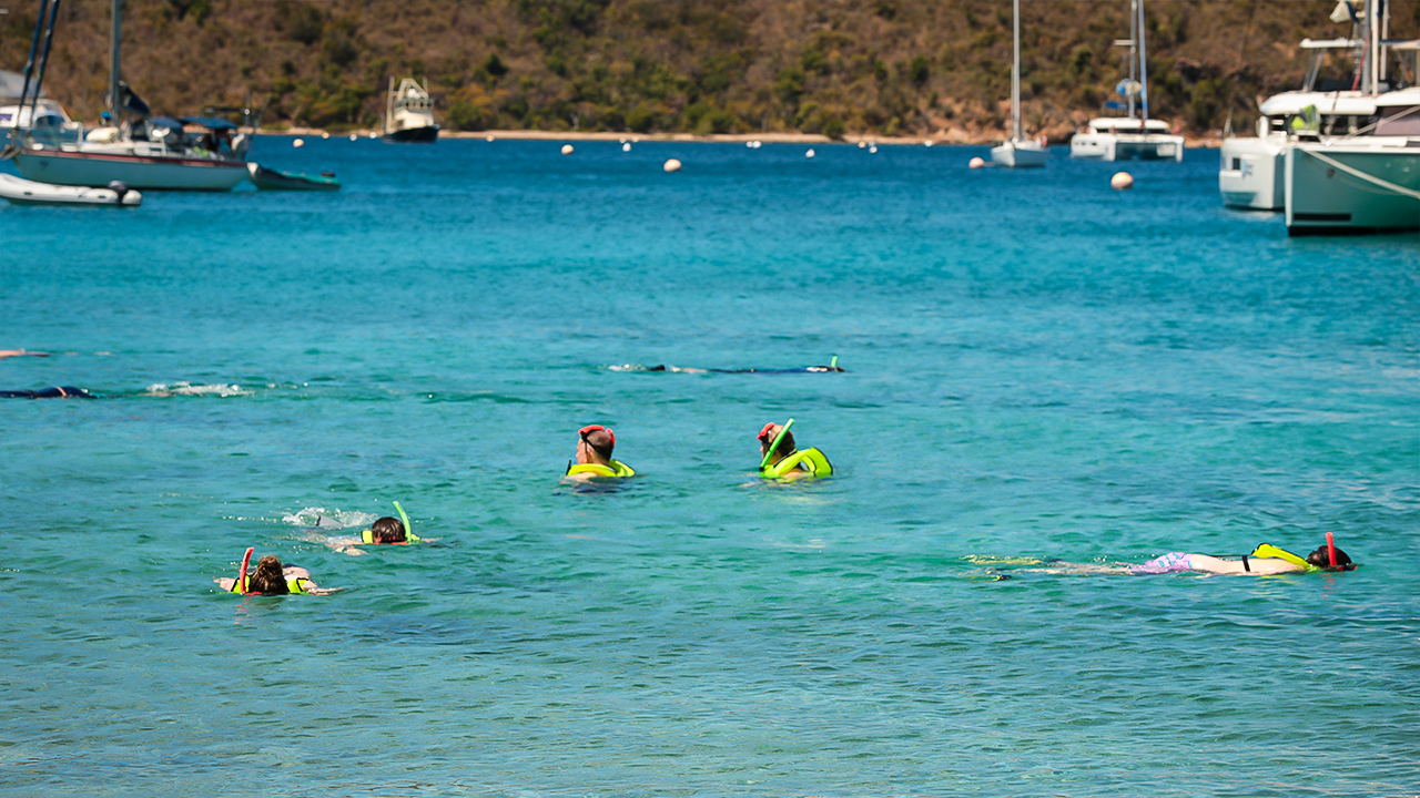 Spend the Day Snorkeling