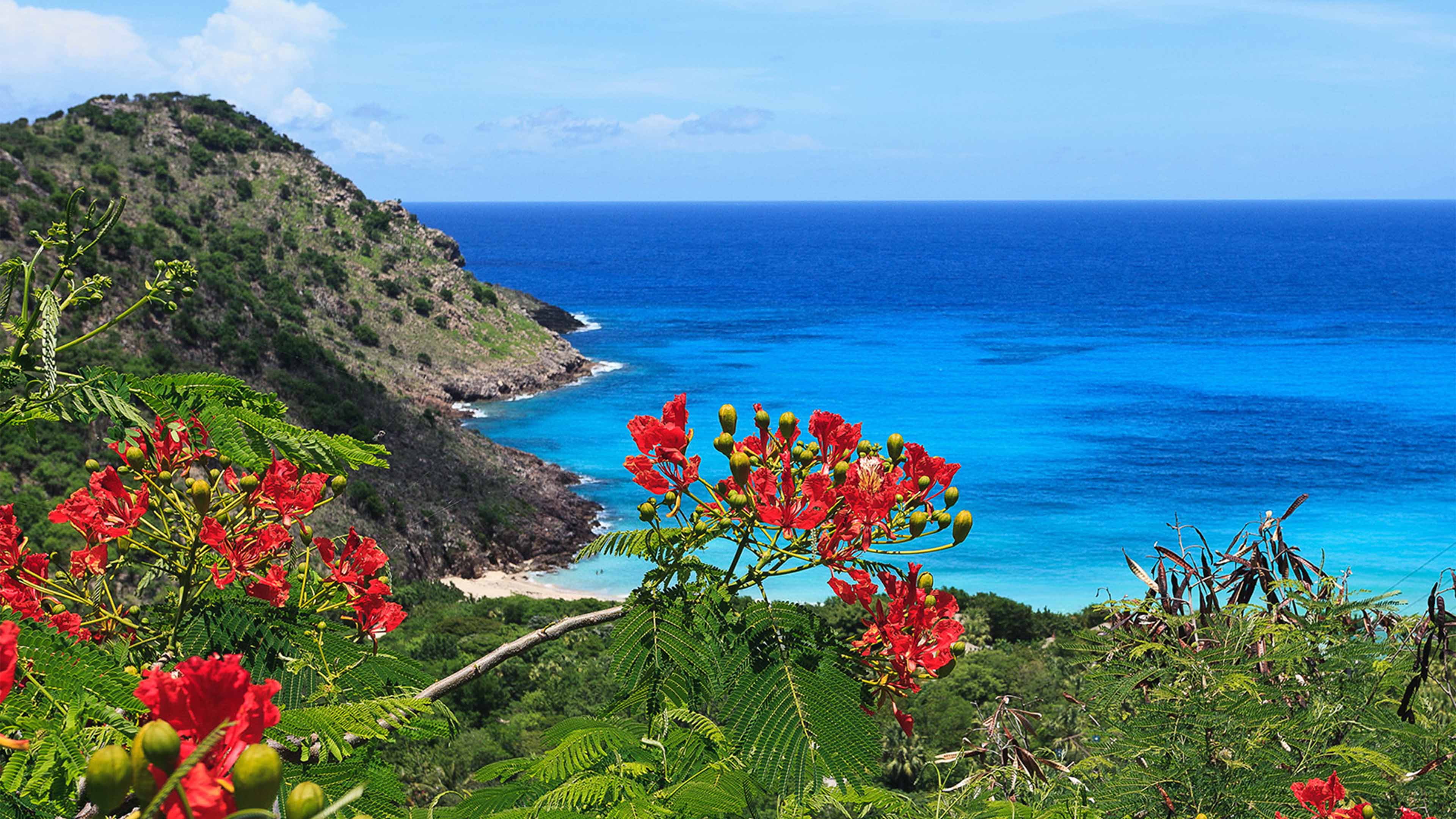 St. Barths, West Indies