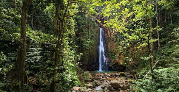 Portsmouth, Dominica