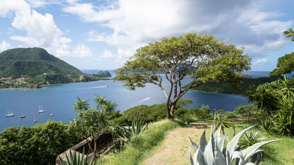 Îles des Saintes Guadeloupe Private yacht