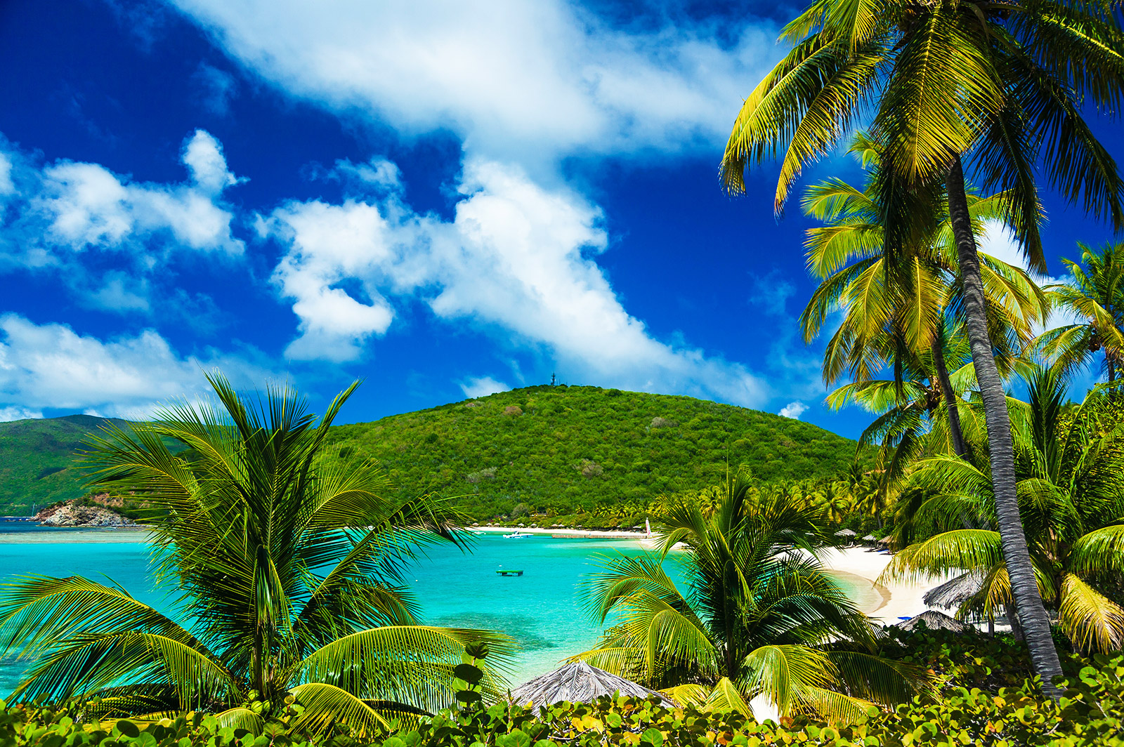 St. Barths & Caribbean Gems