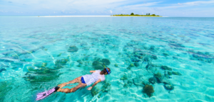 Snorkeling Caribbean